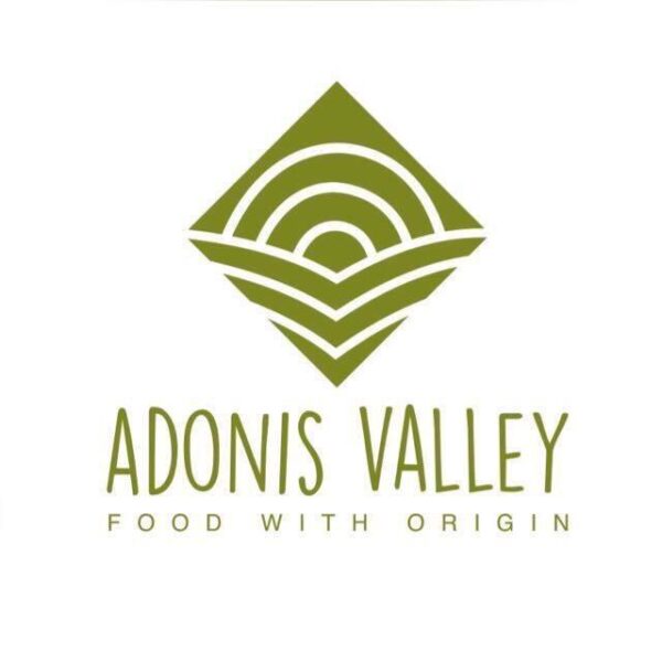 وادي أدونيس logo