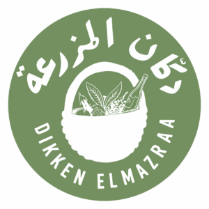 Dikken El Mazraa logo